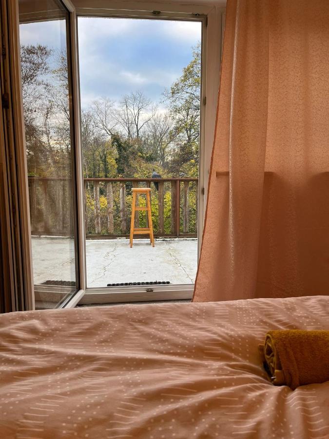 Breathtaking Shared Villa Near Danube River /W Garden And Parking Виена Екстериор снимка