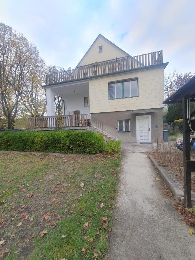 Breathtaking Shared Villa Near Danube River /W Garden And Parking Виена Екстериор снимка